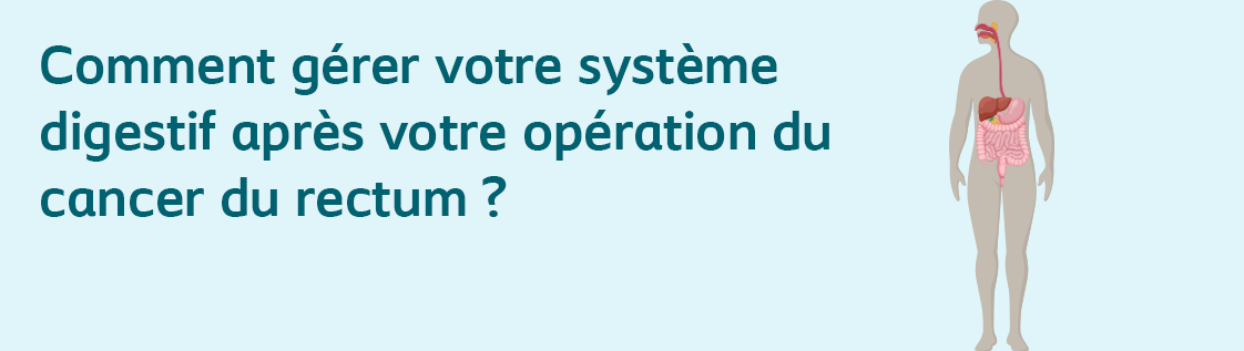 systeme digestif