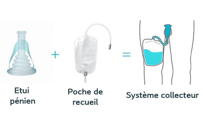 Le système collecteur Conveen représente une solution complète : étui pénien + poche à urine pour vous sentir en sécurité
