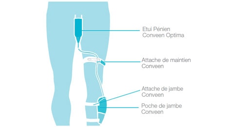 Solution Conveen